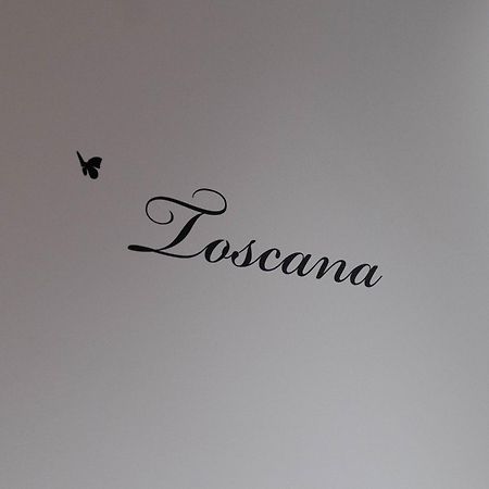 Toscana Casa Maja - Terrasse - Parking Prive Сент-Етьєн Екстер'єр фото